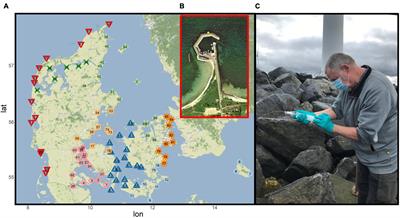 A National Scale “BioBlitz” Using Citizen Science and eDNA Metabarcoding for Monitoring Coastal Marine Fish